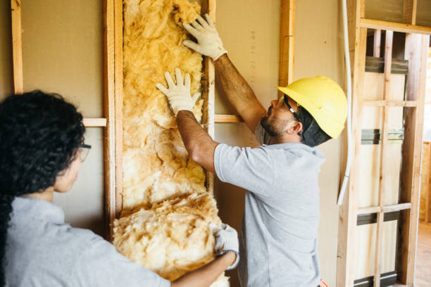 Insulation Repair Services in Swarthmore, PA