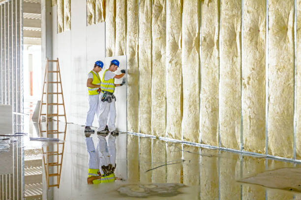 Insulation Repair Services in Swarthmore, PA